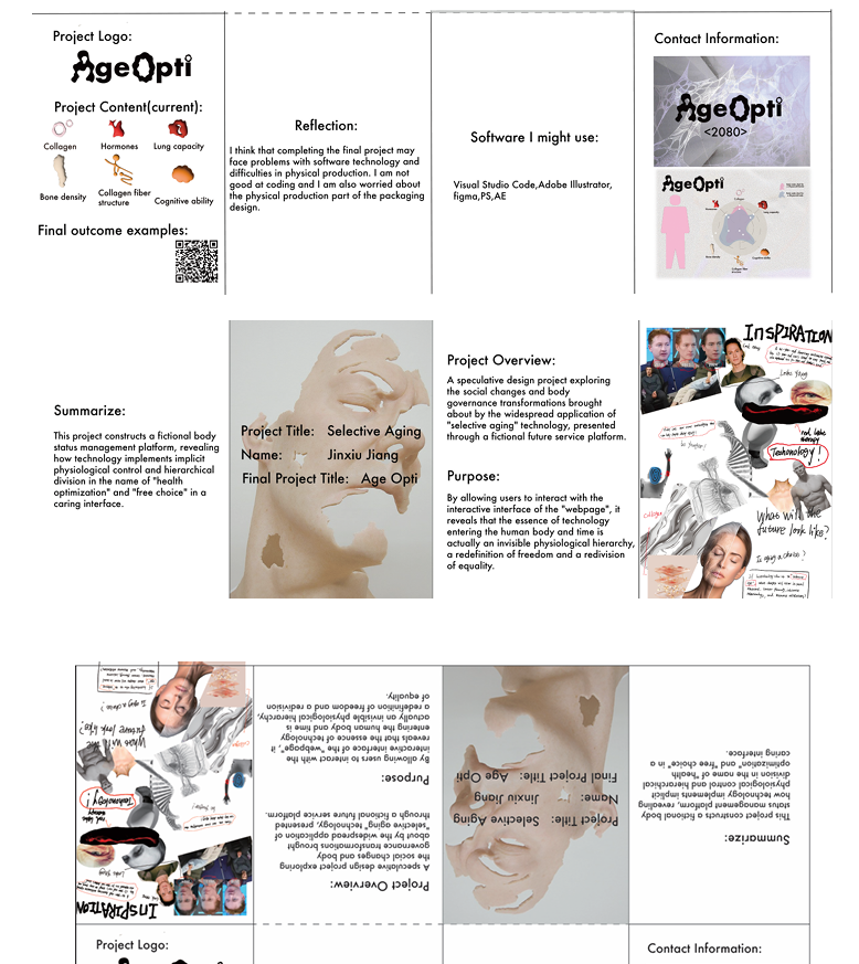 Mid Project Zine