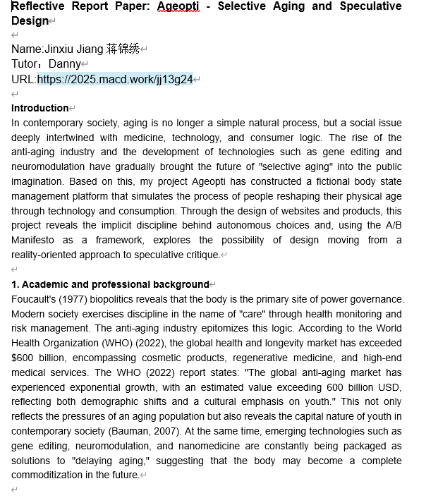 Reflective Report Paper