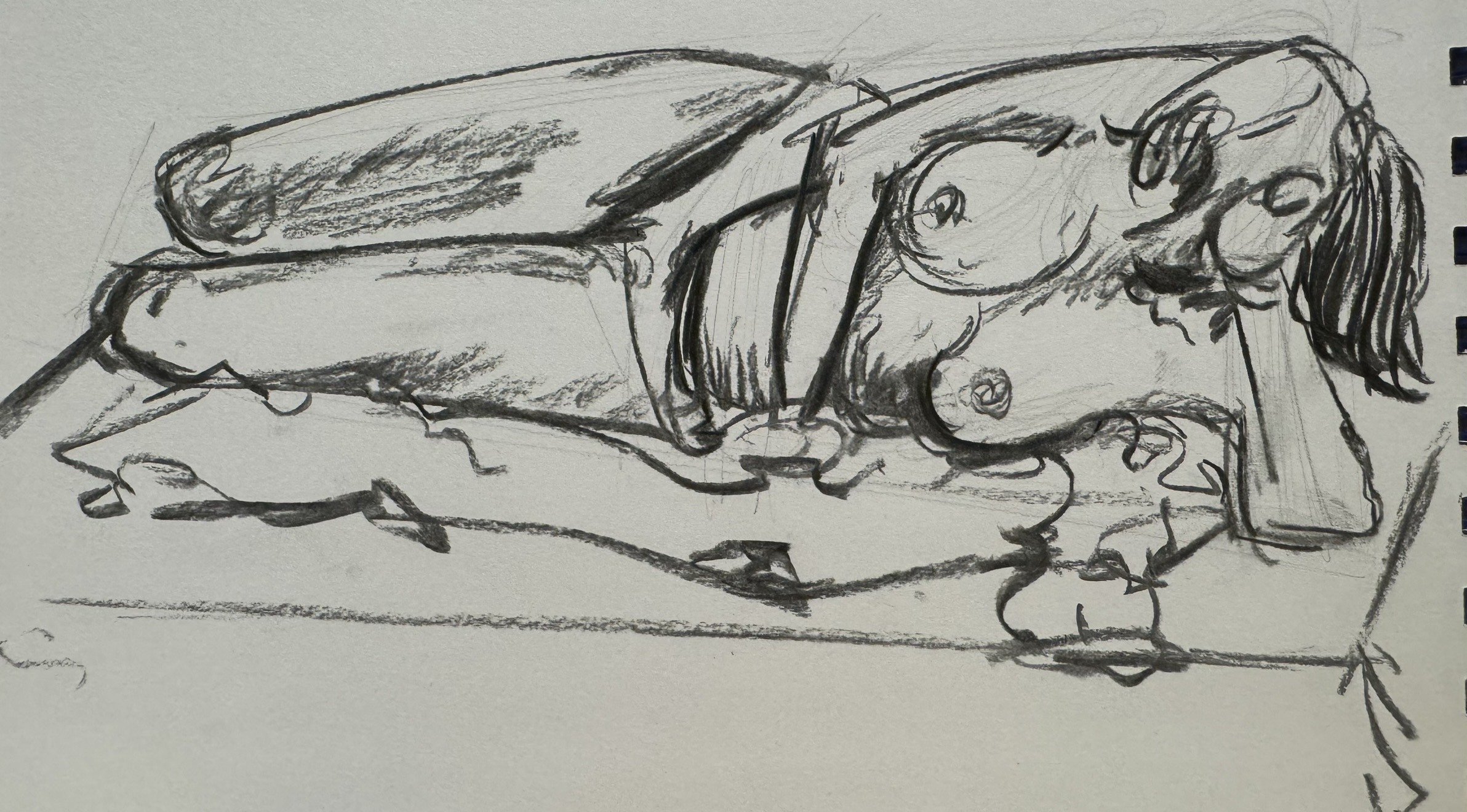SketchBook Heroimage