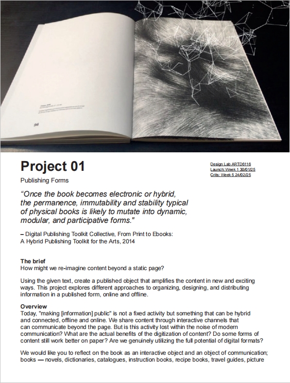 Project 1 Brief Image