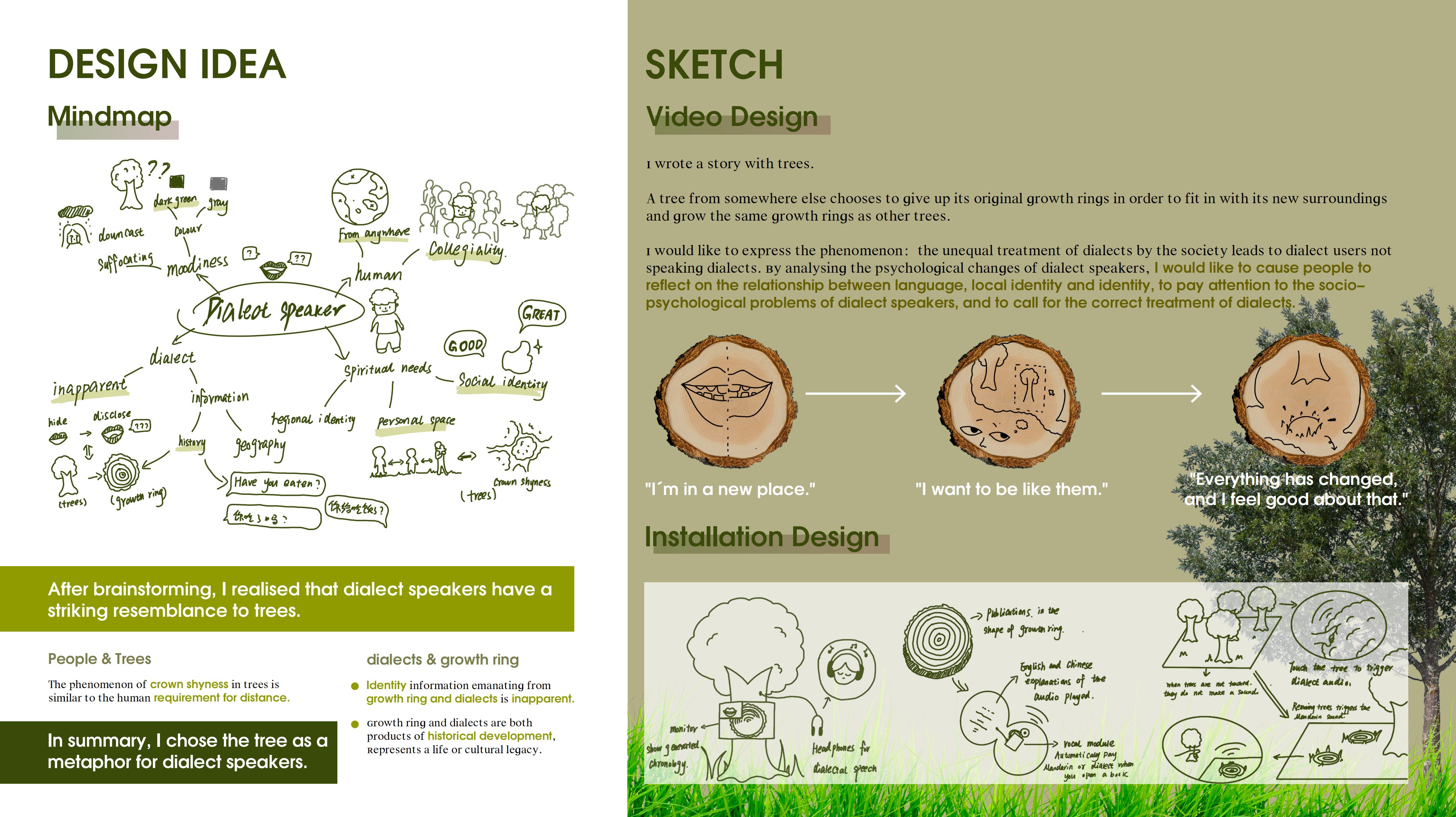 Portfolio Image 3