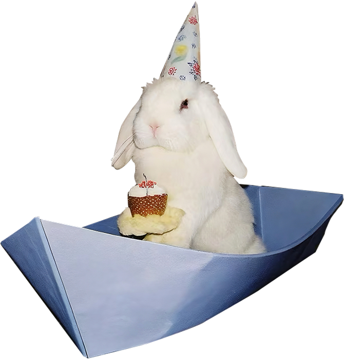 Rabbit